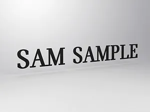 Character for MINI pylon P6