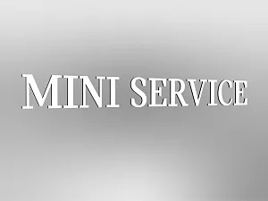 MINI Lettering "MINI Service", not illuminated, E1