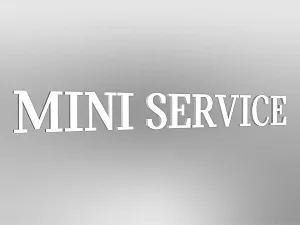 MINI Lettering "MINI Service", illuminated, E2