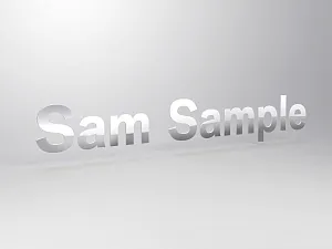 Character for BMW pylon P6