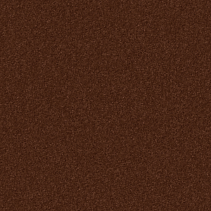 Carpet SILKY SEAL 1210 coconut eliptical<br />
4400 x 3000 mm