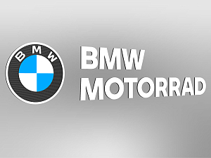 BMW MOTORRAD wordmark incl. logo brooch, two-line, white unlit, E1