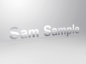 Character for BMW pylon P4 Character for BMW pylon P4