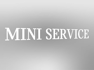 MINI Lettering "MINI SERVICE", not illuminated, E0+
