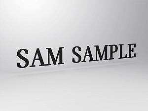 Character for MINI pylon P3