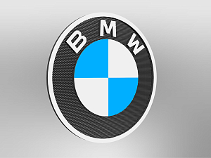 BMW Logo Größe E1 wandmontiert, unbeleuchtet