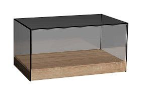 MINI Glass display cabinet 400mm for shelf