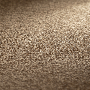 Carpet INFINITY 448 light brown rectangular<br />
3000 x 3900 mm