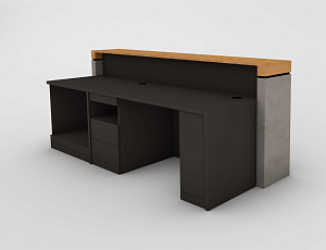 Reception counter 1 workplace including printer module Reception counter 1 workplace including printer module
